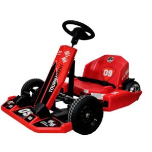 Alquiler de Karts Xtreme 250w/300w 36V Vel Max 25Km/h 15/18Km Autonomía