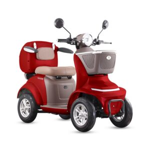 Scooter de Movilidad Reducida Assistant L 30 Km Autonomia 1000W